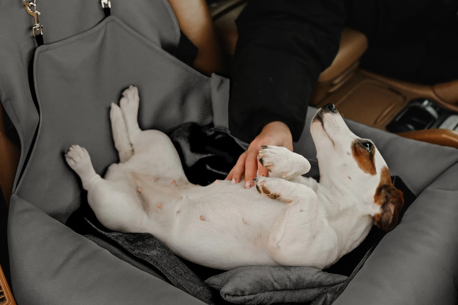 Honda HR-V Dog Car Seat for Bull Terriers