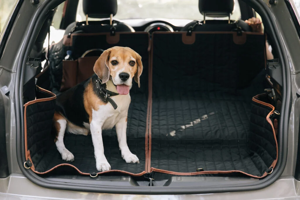 Dog Back Seat Cover for Volkswagen Golf