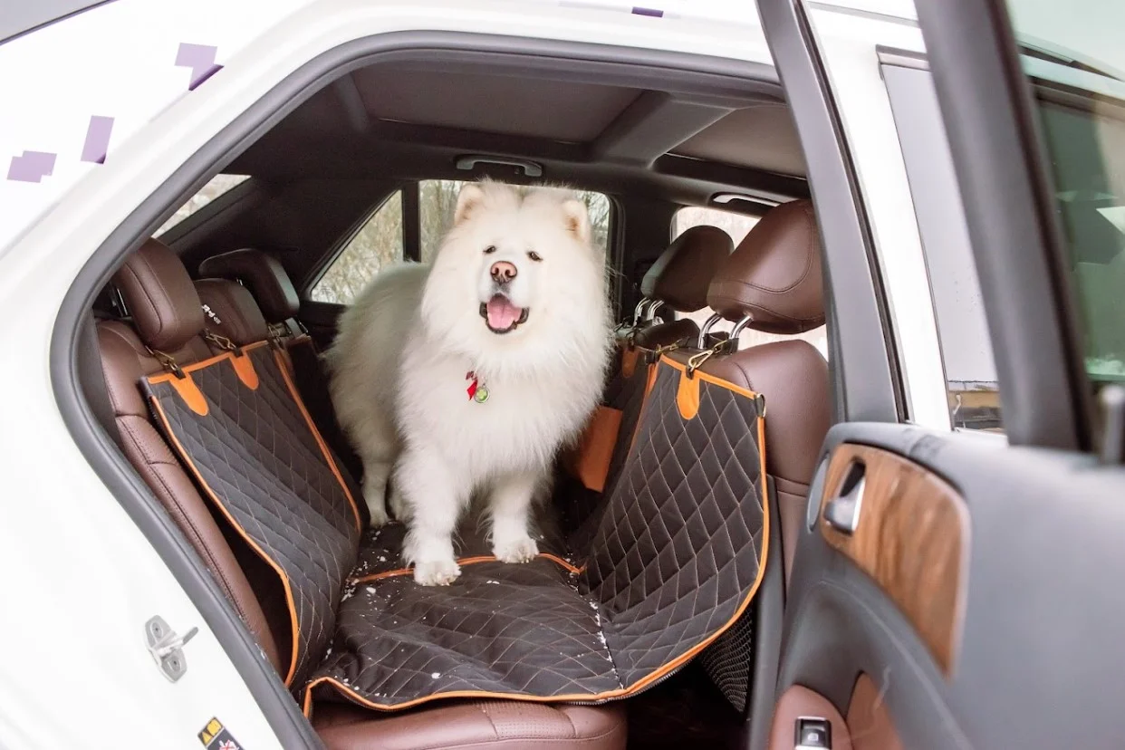 Dog Back Seat Cover for Chevrolet Camaro