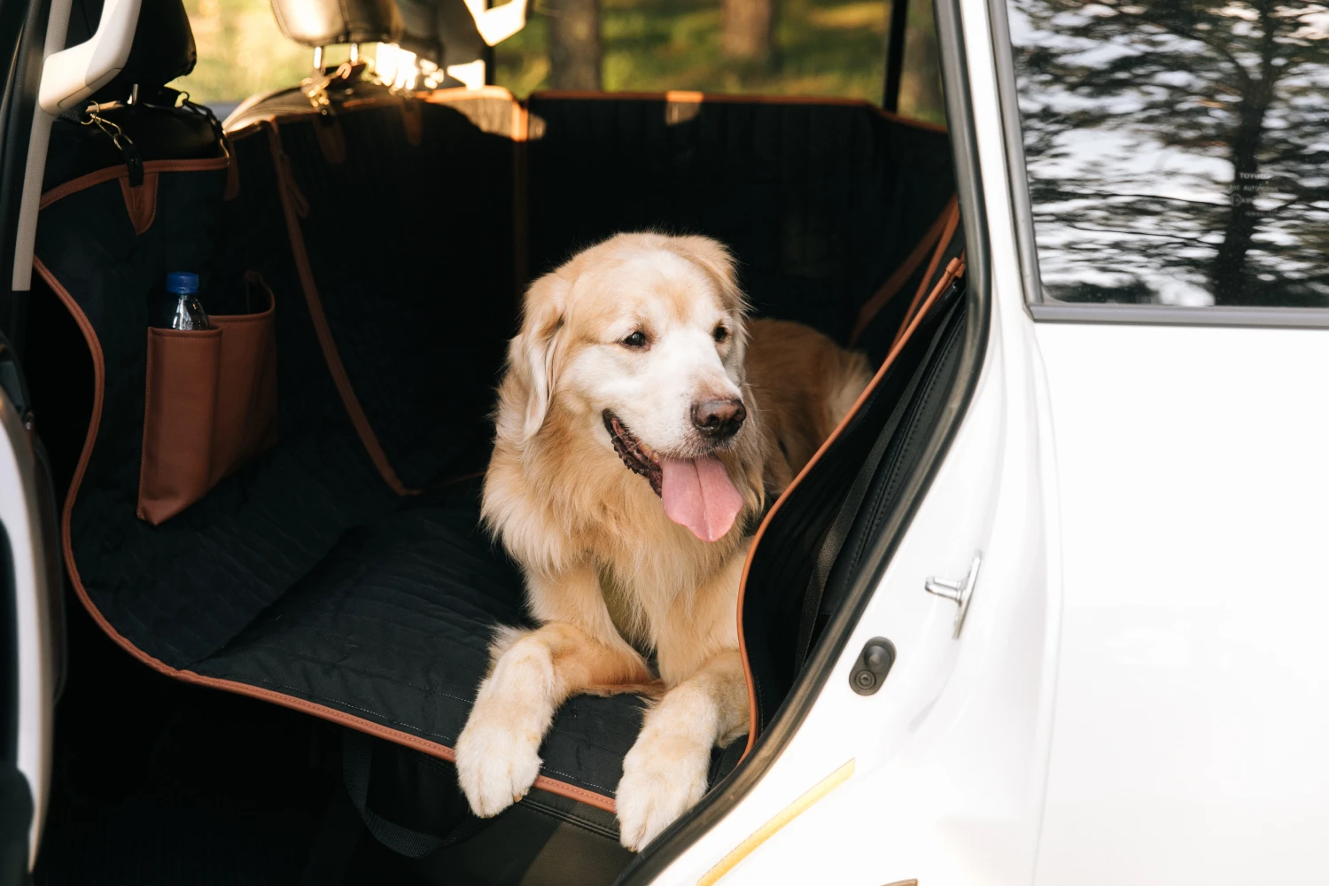 Pet Seat Cover for Subaru Ascent