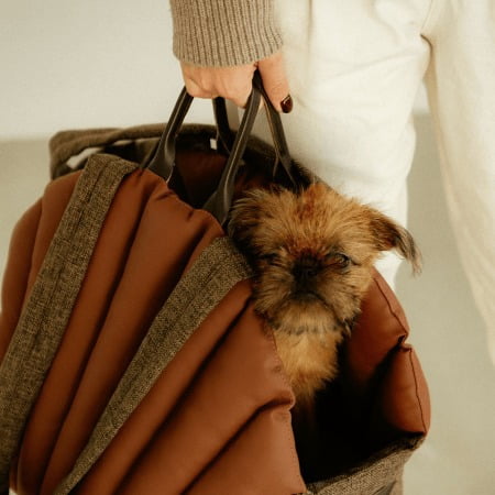 Dog Carrier Seat Description 3 Dog Carrier Seat Description 3