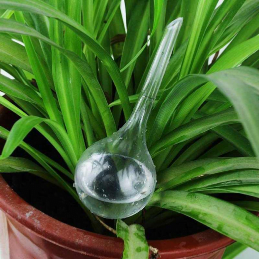12Pcs-Plant-Watering-Bulbs-Automatic-Self-Watering-Globes-Plastic-Balls-Garden-Water-Device-Watering-Bulbs-For 1